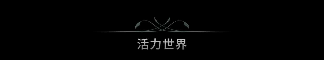 视觉数据4